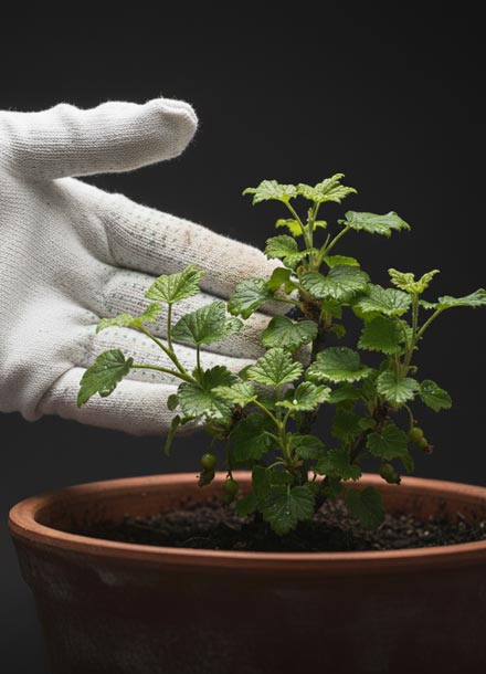 Personale qualificato